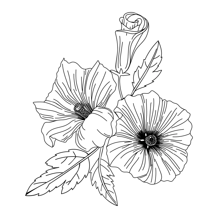 Hibiscus flower illustration. Modern botanical drawing for pattern, logo, template, banner, posters, invitation, and greeting card design. Black hibiscus outline. Tropical flower design.
